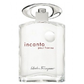 Incanto Pour Homme  100 Ml Edt (Tester)